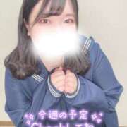 ヒメ日記 2025/03/10 18:44 投稿 柏木 BBW横浜店