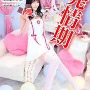 ヒメ日記 2025/01/29 12:04 投稿 わかな ドMな奥さん 日本橋店