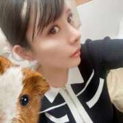 ヒメ日記 2025/03/11 07:49 投稿 わかな ドMな奥さん 日本橋店