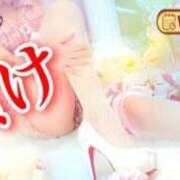 ヒメ日記 2025/03/11 20:58 投稿 わかな ドMな奥さん 日本橋店