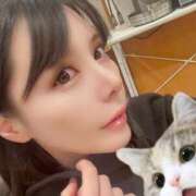 ヒメ日記 2025/03/13 21:37 投稿 わかな ドMな奥さん 日本橋店