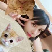 ヒメ日記 2025/07/07 12:43 投稿 わかな ドMな奥さん 日本橋店