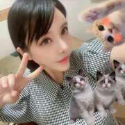 ヒメ日記 2025/07/10 13:26 投稿 わかな ドMな奥さん 日本橋店