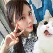 ヒメ日記 2025/07/11 13:13 投稿 わかな ドMな奥さん 日本橋店