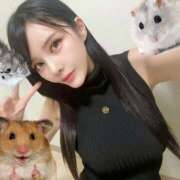 ヒメ日記 2025/07/24 09:51 投稿 わかな ドMな奥さん 日本橋店