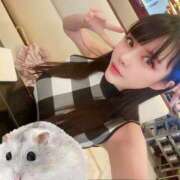 ヒメ日記 2025/07/28 16:16 投稿 わかな ドMな奥さん 日本橋店