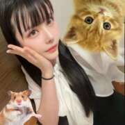 ヒメ日記 2025/07/29 19:17 投稿 わかな ドMな奥さん 日本橋店