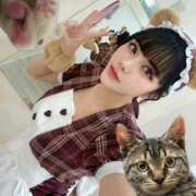 ヒメ日記 2025/08/30 07:31 投稿 わかな ドMな奥さん 日本橋店