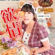 ヒメ日記 2025/09/03 13:12 投稿 わかな ドMな奥さん 日本橋店