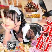 ヒメ日記 2025/09/09 12:01 投稿 わかな ドMな奥さん 日本橋店