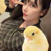 ヒメ日記 2025/10/07 07:07 投稿 わかな ドMな奥さん 日本橋店