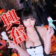 ヒメ日記 2025/10/28 18:24 投稿 わかな ドMな奥さん 日本橋店