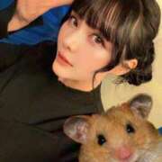 ヒメ日記 2026/02/11 17:51 投稿 わかな ドMな奥さん 日本橋店