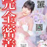 ヒメ日記 2026/04/03 07:39 投稿 わかな ドMな奥さん 日本橋店