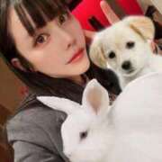 ヒメ日記 2026/04/12 13:56 投稿 わかな ドMな奥さん 日本橋店