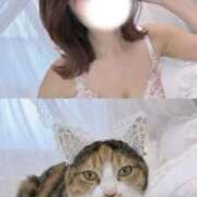 ヒメ日記 2026/02/02 12:22 投稿 れい ごほうびSPA上野店