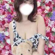 ヒメ日記 2026/03/12 07:12 投稿 れい ごほうびSPA上野店