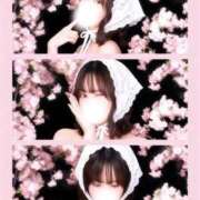 ヒメ日記 2026/03/31 13:02 投稿 れい ごほうびSPA上野店