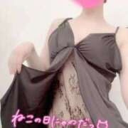 ヒメ日記 2025/02/22 07:15 投稿 麻央 出会い系人妻ネットワーク 五反田～品川編