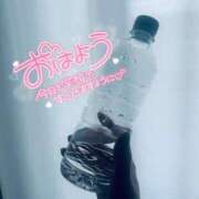 ヒメ日記 2025/03/07 07:56 投稿 麻央 出会い系人妻ネットワーク 五反田～品川編