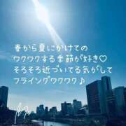 ヒメ日記 2025/03/20 08:06 投稿 麻央 出会い系人妻ネットワーク 五反田～品川編
