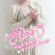 ヒメ日記 2025/04/17 07:45 投稿 麻央 出会い系人妻ネットワーク 五反田～品川編