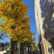 ヒメ日記 2025/12/06 09:30 投稿 麻央 出会い系人妻ネットワーク 五反田～品川編