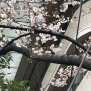 ヒメ日記 2026/03/26 15:45 投稿 麻央 出会い系人妻ネットワーク 五反田～品川編