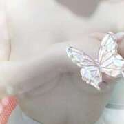 ヒメ日記 2025/01/19 13:38 投稿 向井すみれ ミセス大阪十三店