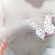 ヒメ日記 2025/08/20 20:47 投稿 向井すみれ ミセス大阪十三店