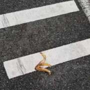 ヒメ日記 2025/11/15 18:35 投稿 向井すみれ ミセス大阪十三店