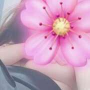 ヒメ日記 2025/11/24 17:40 投稿 向井すみれ ミセス大阪十三店