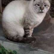 ヒメ日記 2025/12/18 22:31 投稿 向井すみれ ミセス大阪十三店