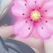 ヒメ日記 2026/01/23 14:33 投稿 向井すみれ ミセス大阪十三店