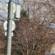 ヒメ日記 2026/01/24 14:30 投稿 向井すみれ ミセス大阪十三店