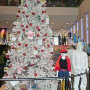 ヒメ日記 2024/12/23 20:30 投稿 桜木 熟女の風俗最終章 新横浜店