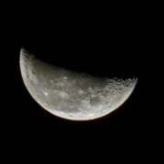 ヒメ日記 2024/12/24 02:56 投稿 桜木 熟女の風俗最終章 新横浜店