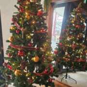 ヒメ日記 2024/12/25 15:06 投稿 桜木 熟女の風俗最終章 新横浜店