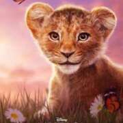 ヒメ日記 2025/01/11 20:59 投稿 桜木 熟女の風俗最終章 新横浜店