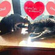 ヒメ日記 2025/02/23 20:29 投稿 桜木 熟女の風俗最終章 新横浜店