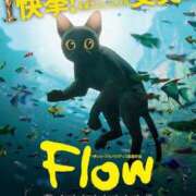 ヒメ日記 2025/03/16 17:50 投稿 桜木 熟女の風俗最終章 新横浜店