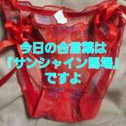 ヒメ日記 2025/04/18 19:26 投稿 桜木 熟女の風俗最終章 新横浜店