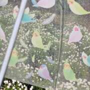 ヒメ日記 2025/04/23 08:56 投稿 桜木 熟女の風俗最終章 新横浜店