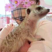 ヒメ日記 2025/05/06 12:29 投稿 桜木 熟女の風俗最終章 新横浜店