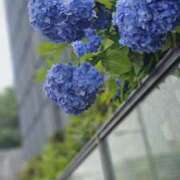 ヒメ日記 2025/06/12 22:52 投稿 桜木 熟女の風俗最終章 新横浜店