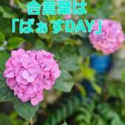 ヒメ日記 2025/06/19 14:26 投稿 桜木 熟女の風俗最終章 新横浜店