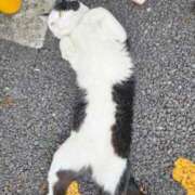 ヒメ日記 2025/06/21 23:06 投稿 桜木 熟女の風俗最終章 新横浜店