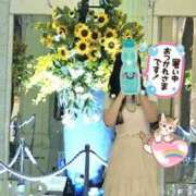 ヒメ日記 2025/07/06 12:26 投稿 桜木 熟女の風俗最終章 新横浜店