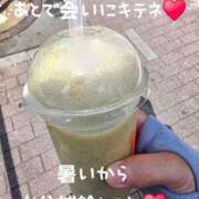 ヒメ日記 2025/08/20 13:06 投稿 桜木 熟女の風俗最終章 新横浜店