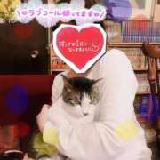 ヒメ日記 2025/09/09 08:56 投稿 桜木 熟女の風俗最終章 新横浜店